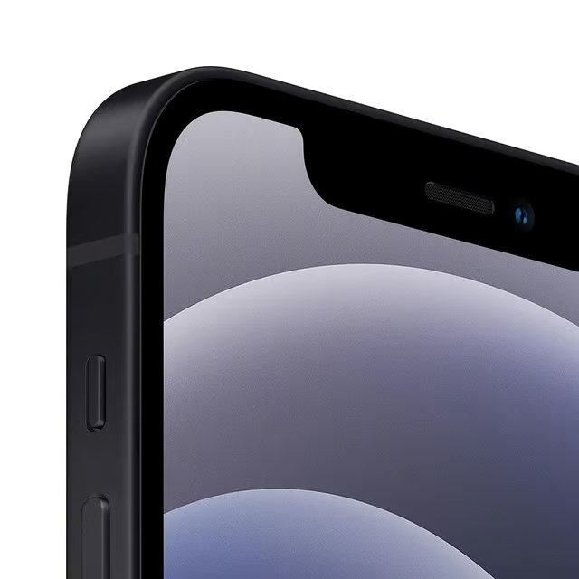 iPhone 12 black